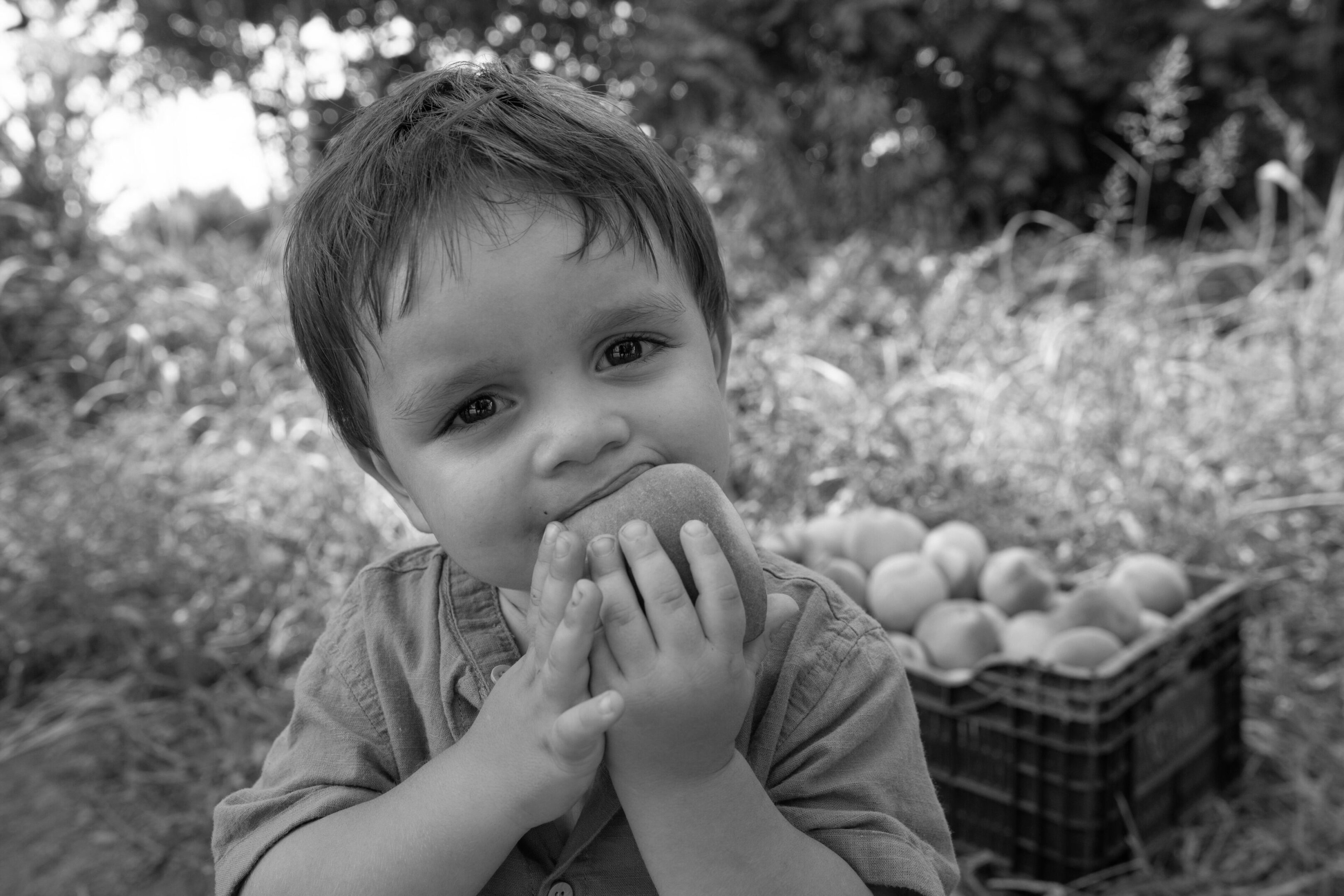 image(4) A young boy holding his hands to his mouth.